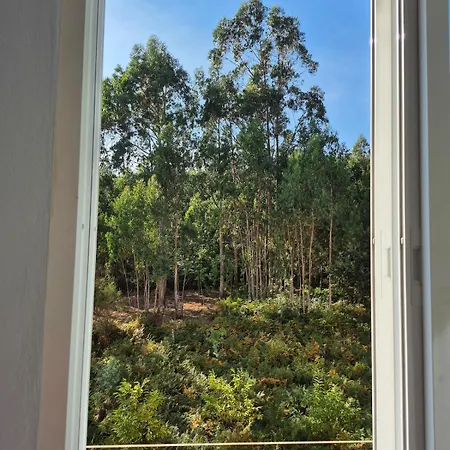 Soleado Cerca De La Playa - Wifi アパート フィニステレ